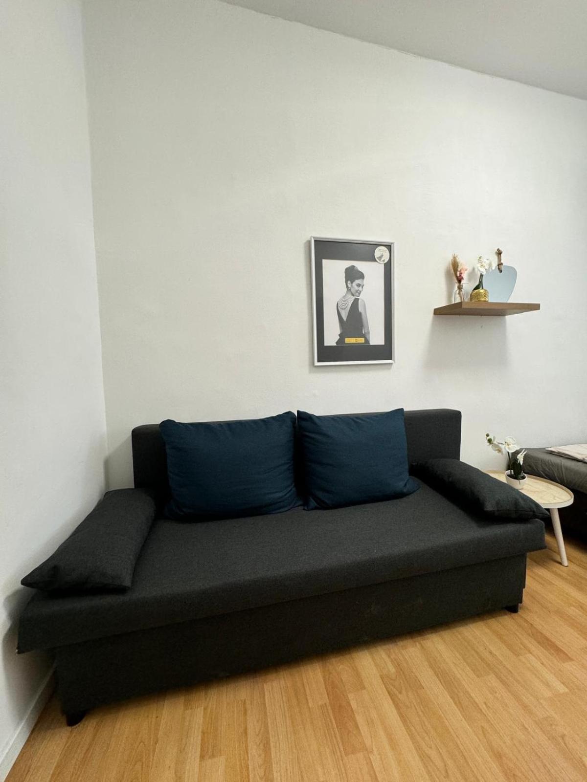 Apartamento Comfy In A Shared Apt, 8min To Rathausplatz Viena