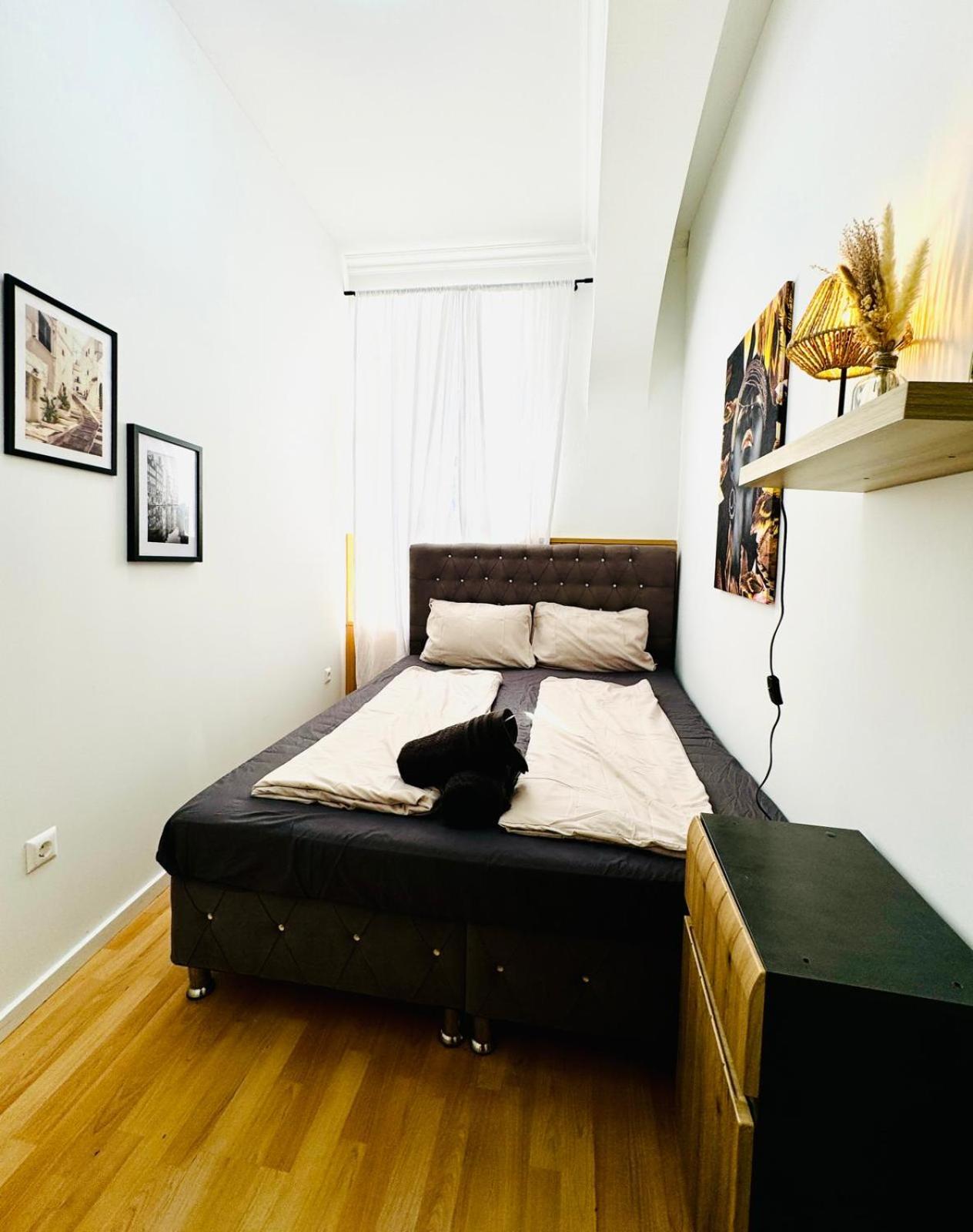 Apartmán Comfy In A Shared Apt, 8min To Rathausplatz